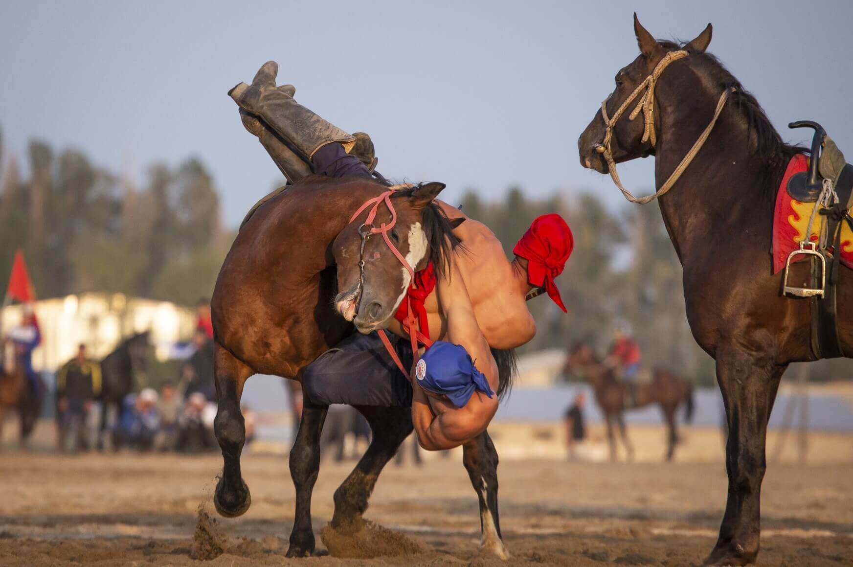 Athletes wrestling on a horseback at the World Nomad Games